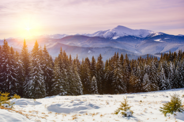 100+ Creative Icebreakers and Conversation Starters for Work Ice breakers blog post 6